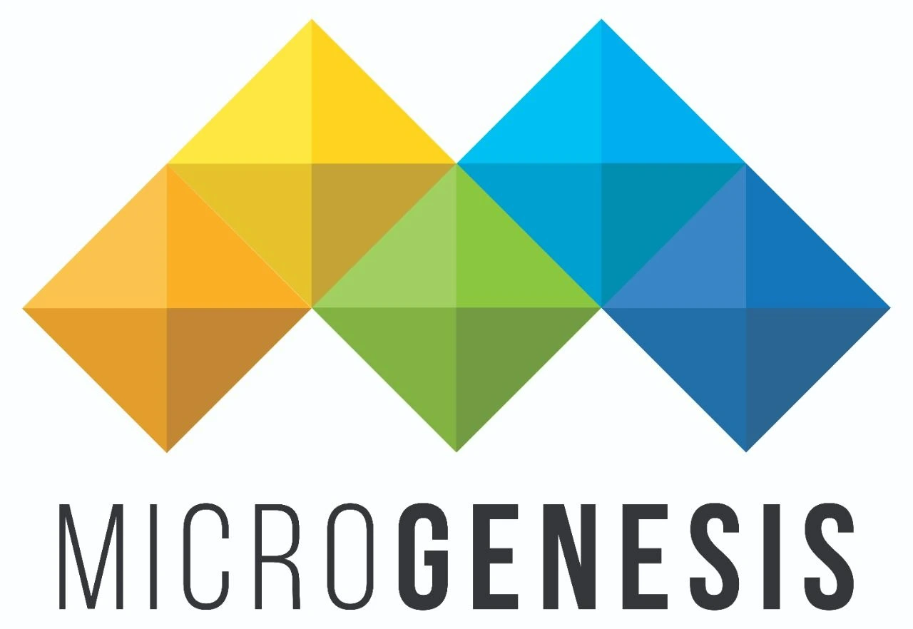 Microgenesis